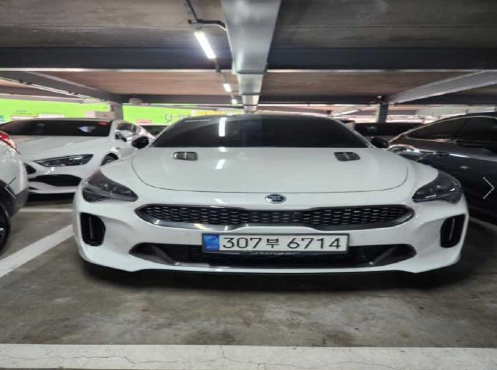 Kia Stinger Meister