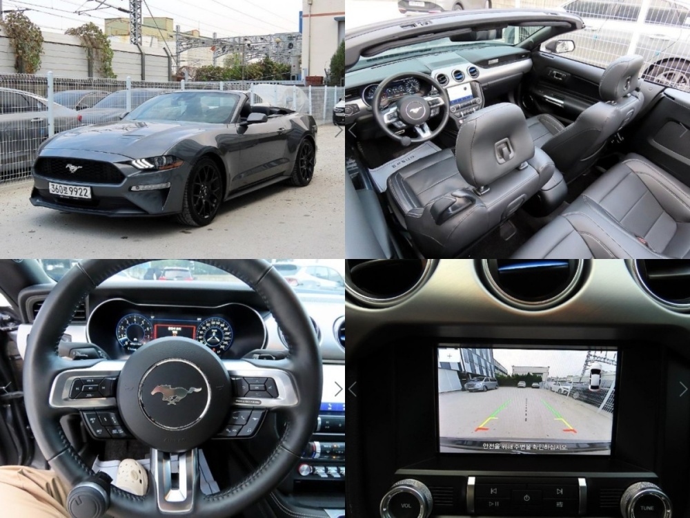 Ford mustang