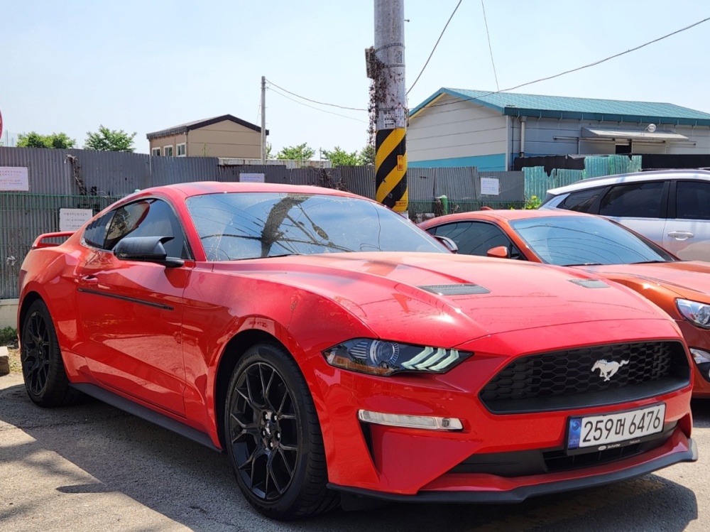 Ford mustang