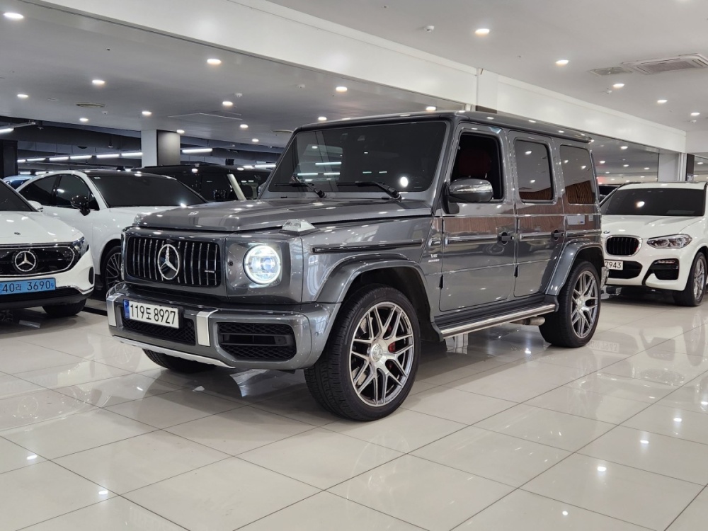 Mercedes-Benz G-Class W463b