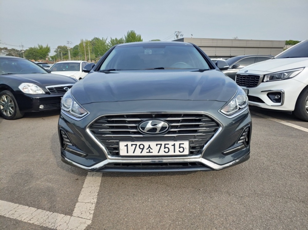 Hyundai sonata new rise