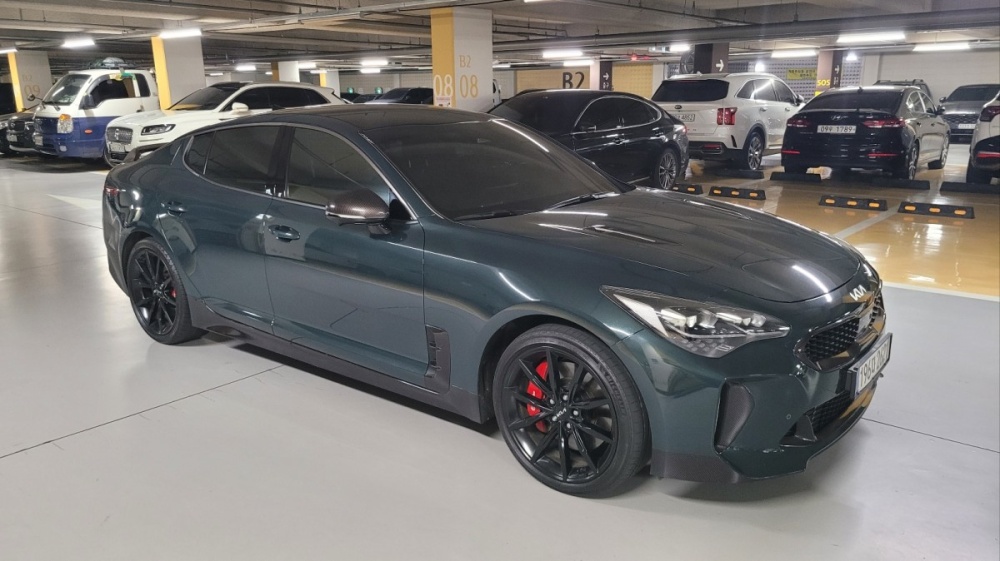 Kia Stinger Meister