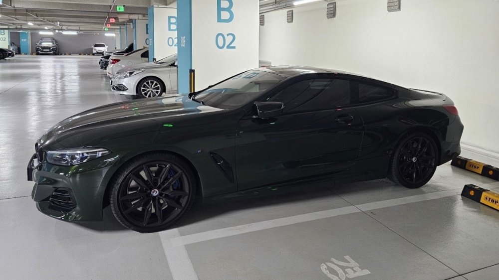 BMW 8 Series (G15)