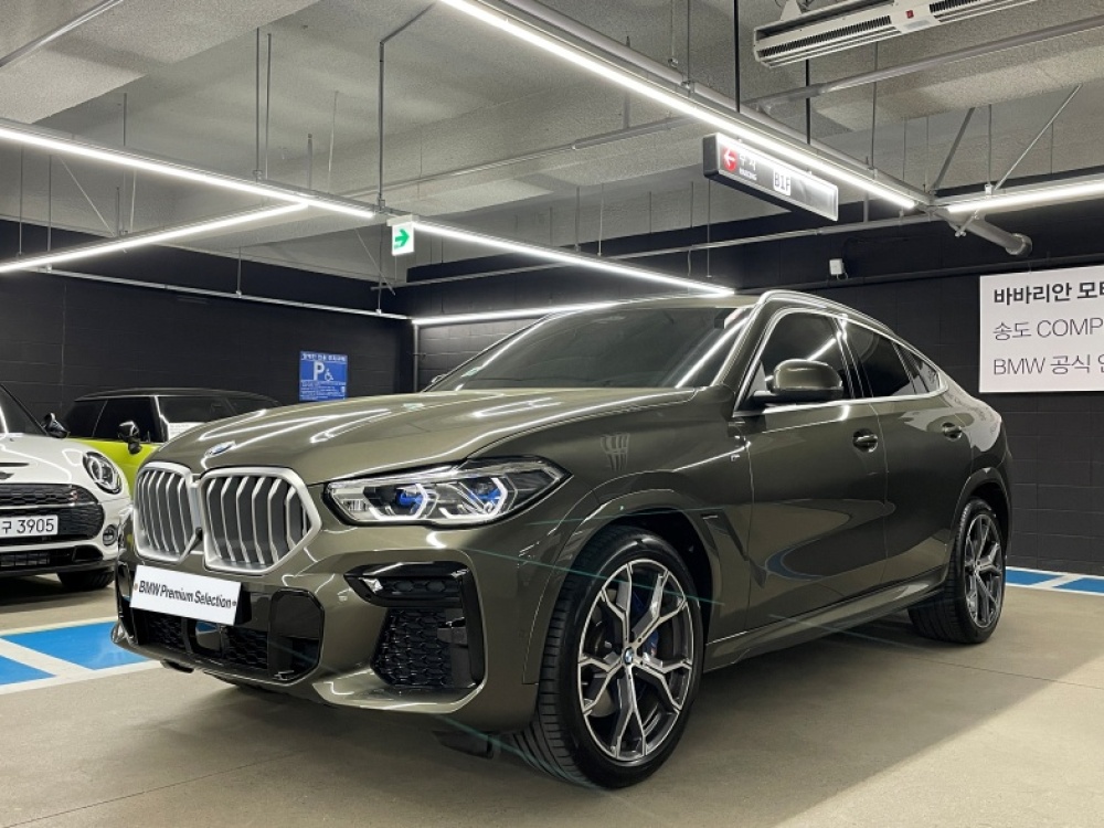 BMW X6 (G06)