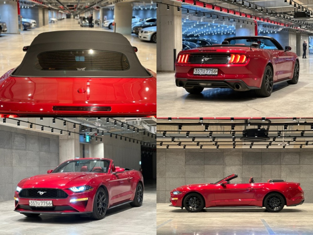 Ford mustang