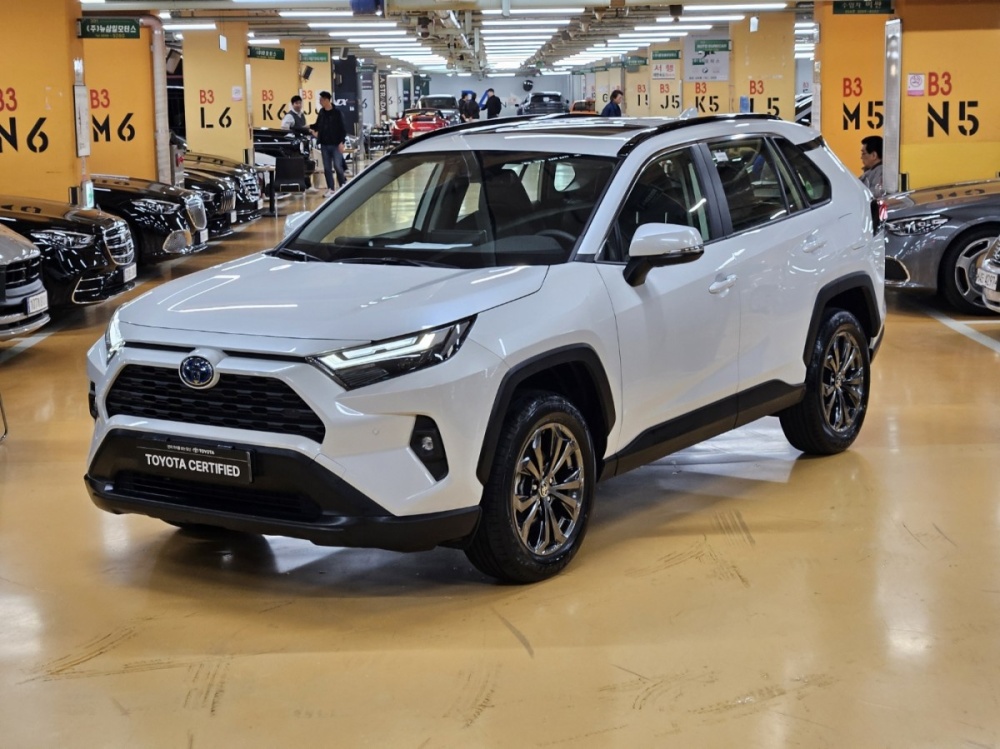 Toyota RAV4 5th Gen