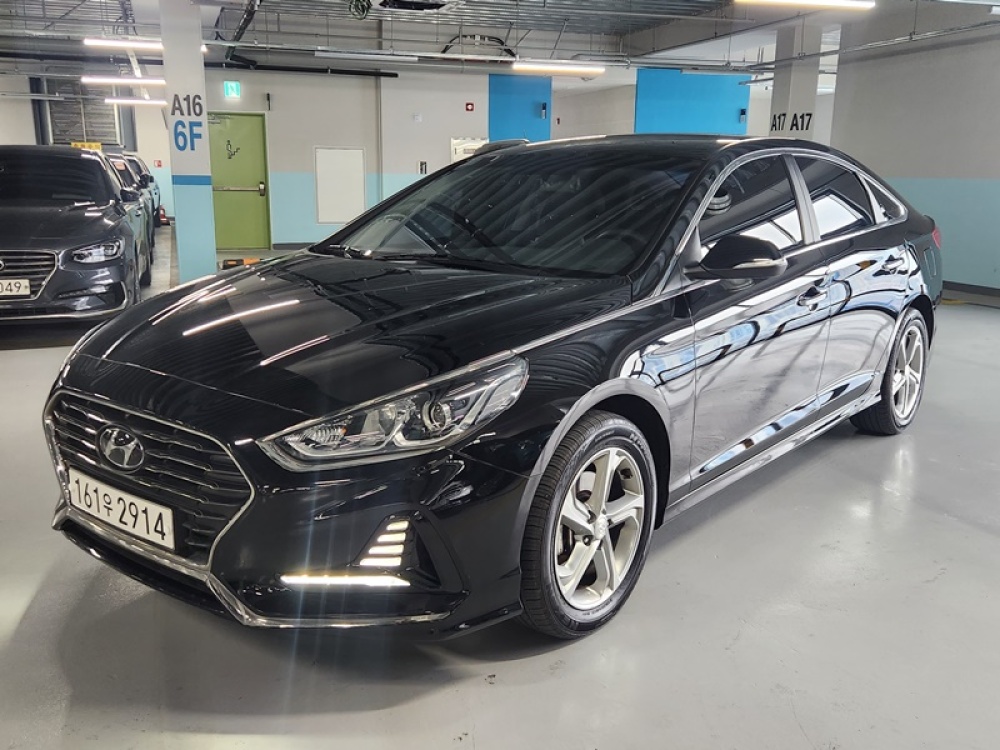 Hyundai sonata new rise