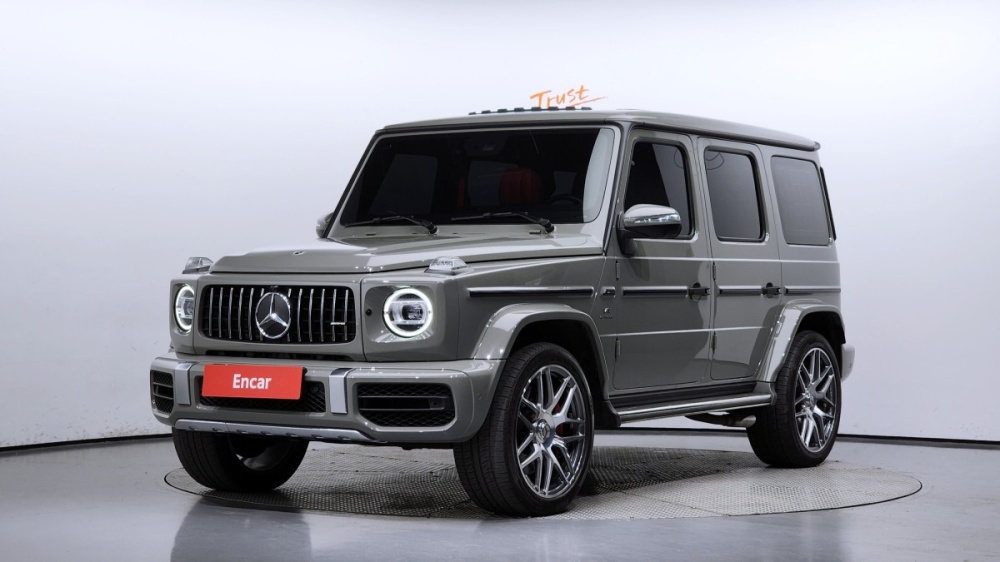 Mercedes-Benz G-Class W463b