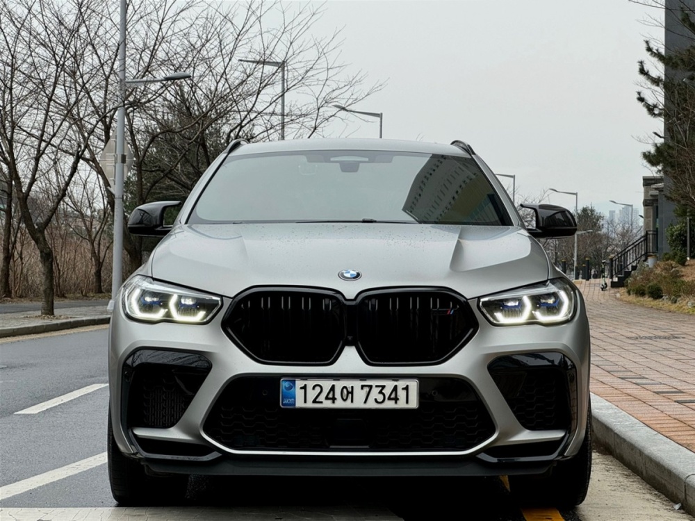 BMW X6M (G06)