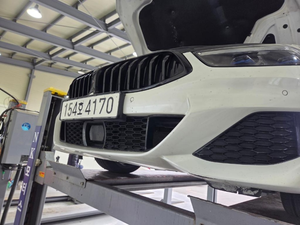 BMW 8 Series (G15)