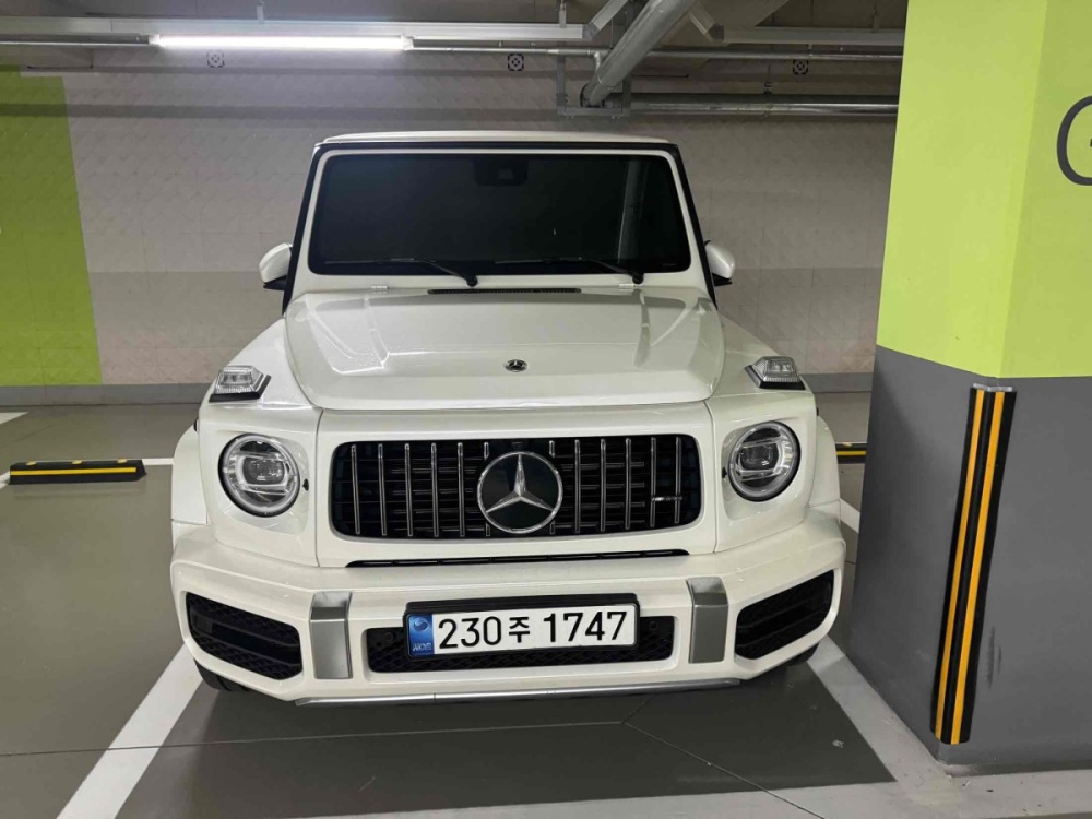 Mercedes-Benz G-Class W463b