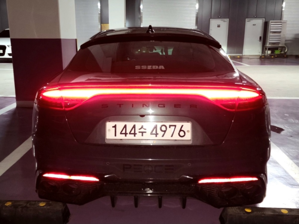 Kia Stinger Meister