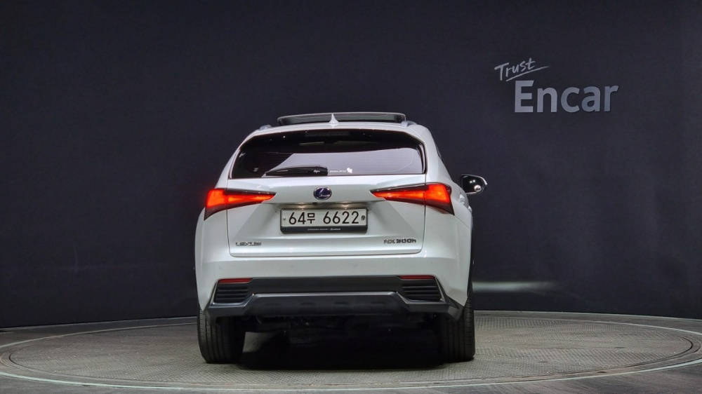 Lexus NX300h