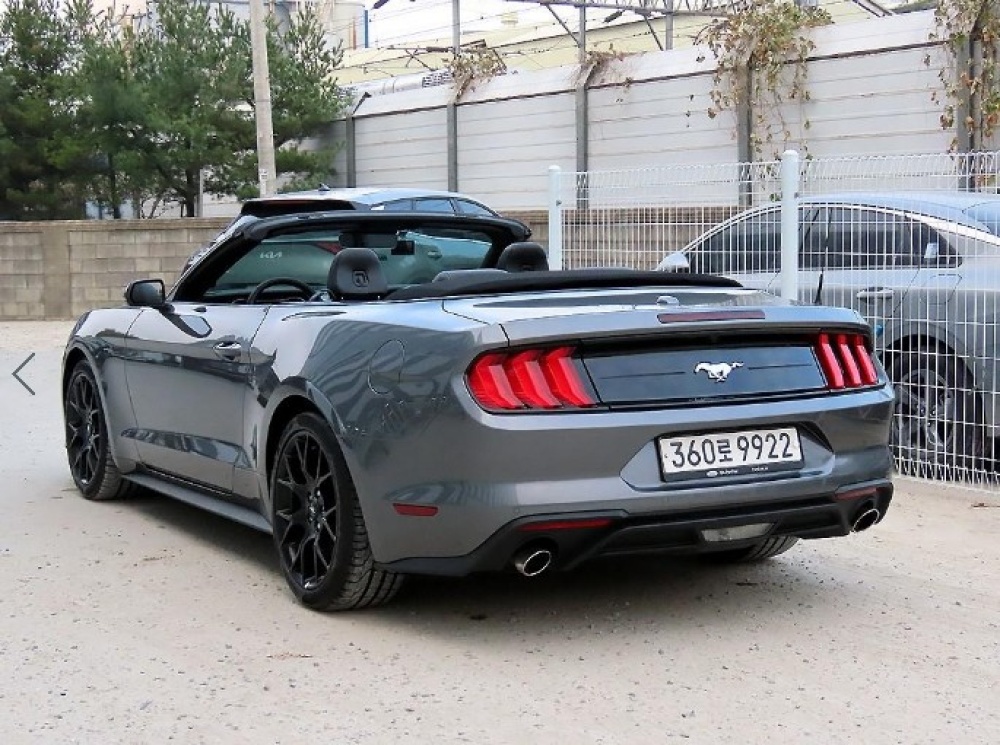 Ford mustang
