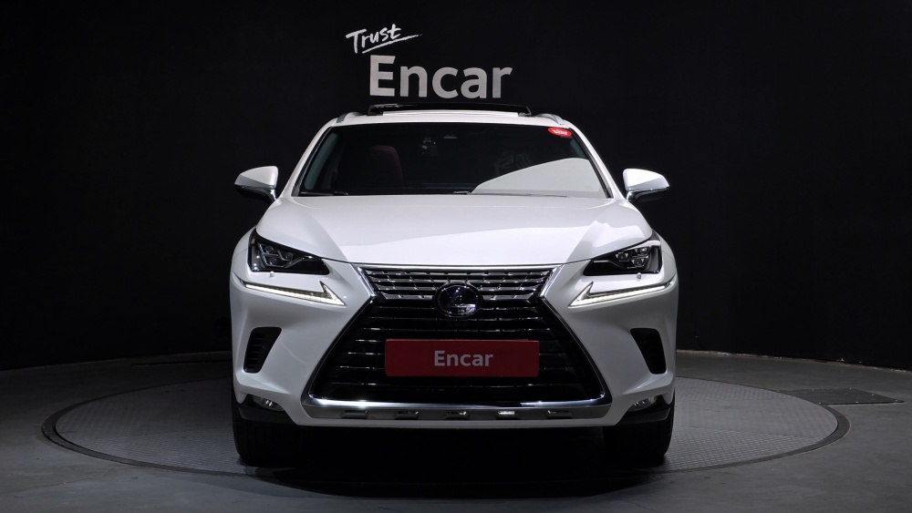 Lexus NX300h