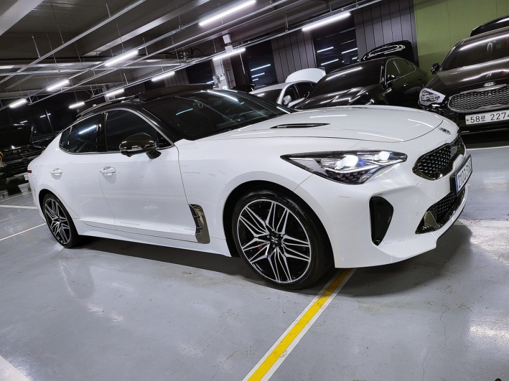 Kia Stinger Meister