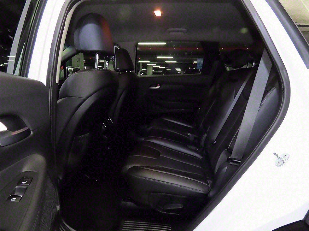 Hyundai Santa Fe TM
