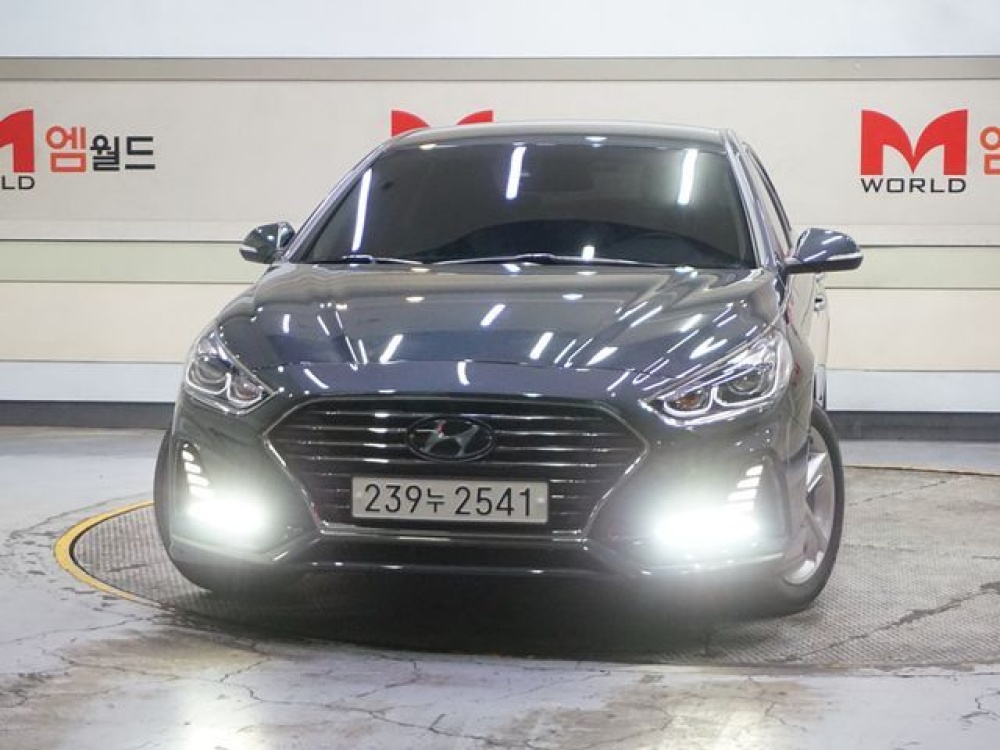 Hyundai sonata new rise