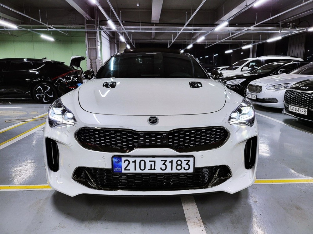 Kia Stinger Meister