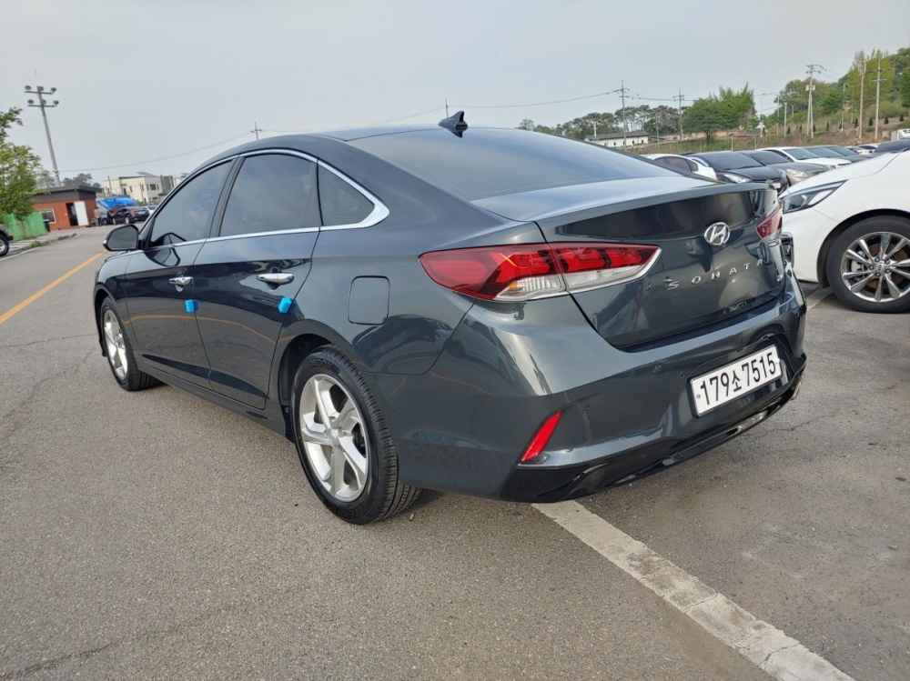 Hyundai sonata new rise