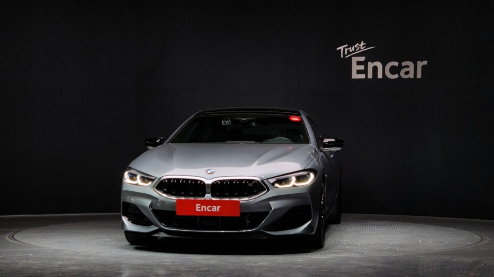 BMW 8 Series (G15)