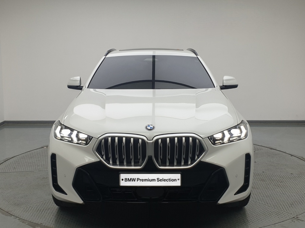 BMW X6 (G06)