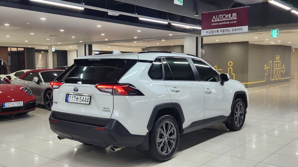 Toyota RAV4 5th Gen