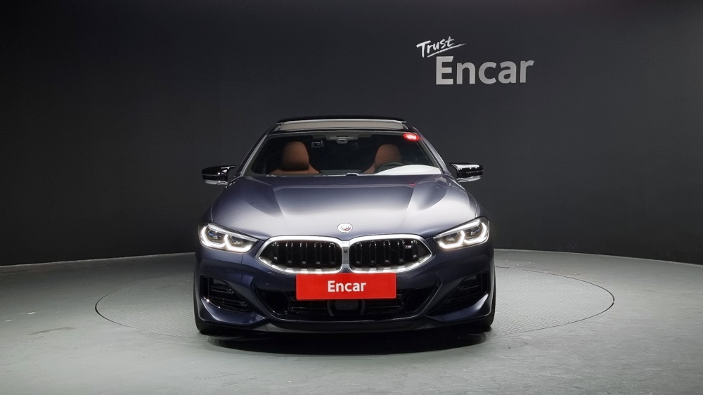 BMW 8 Series (G15)
