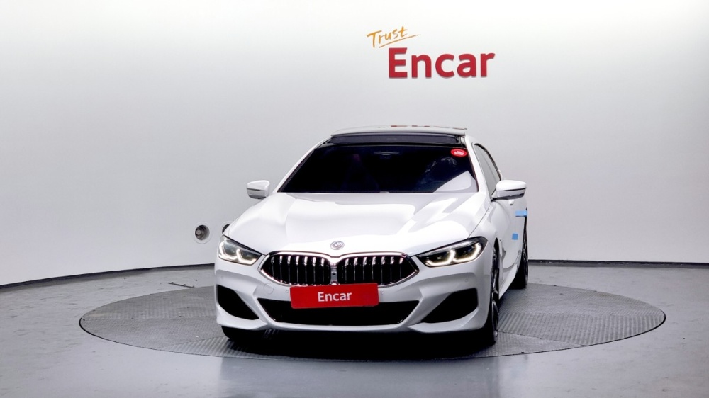 BMW 8 Series (G15)