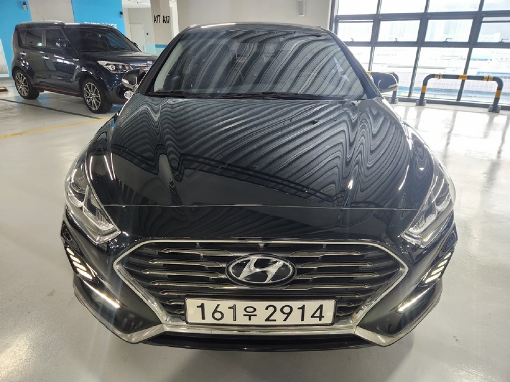 Hyundai sonata new rise