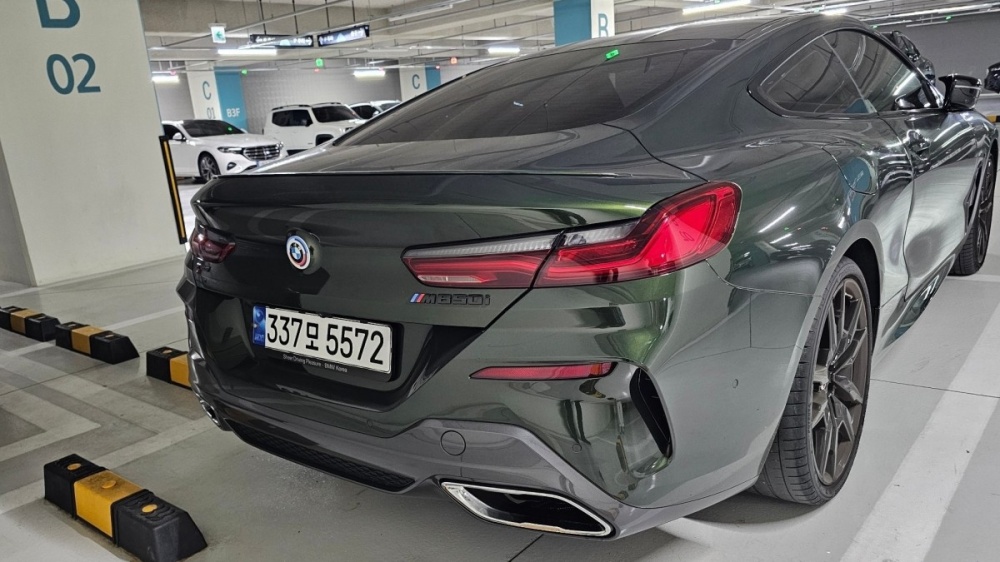 BMW 8 Series (G15)