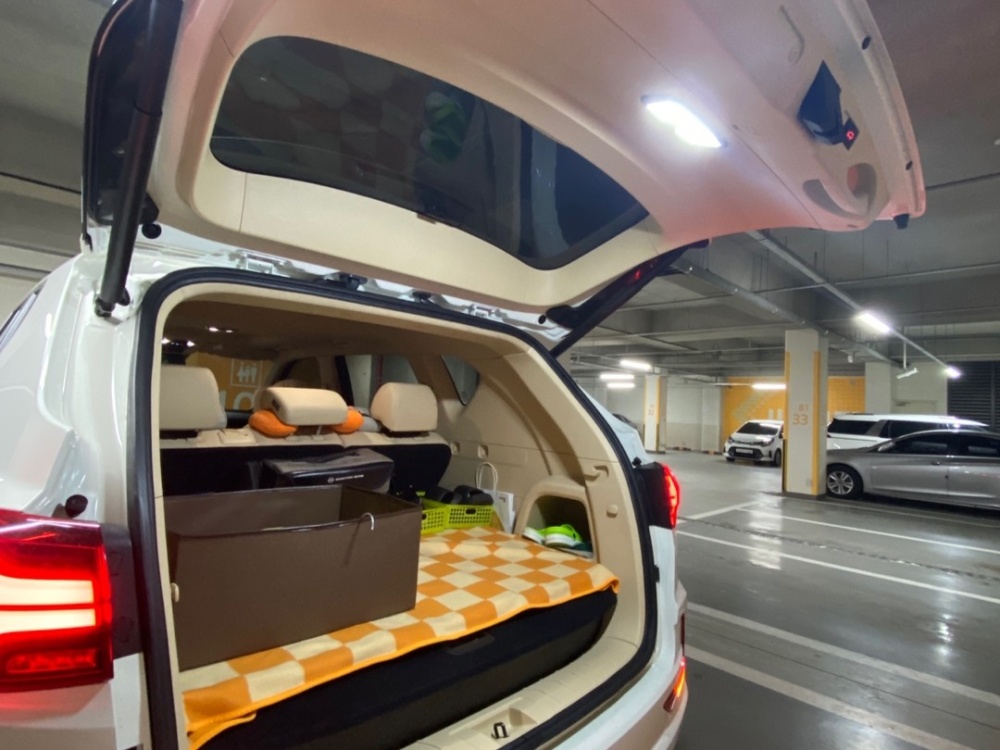 KG Mobility (Ssangyong) Rexton New Arena