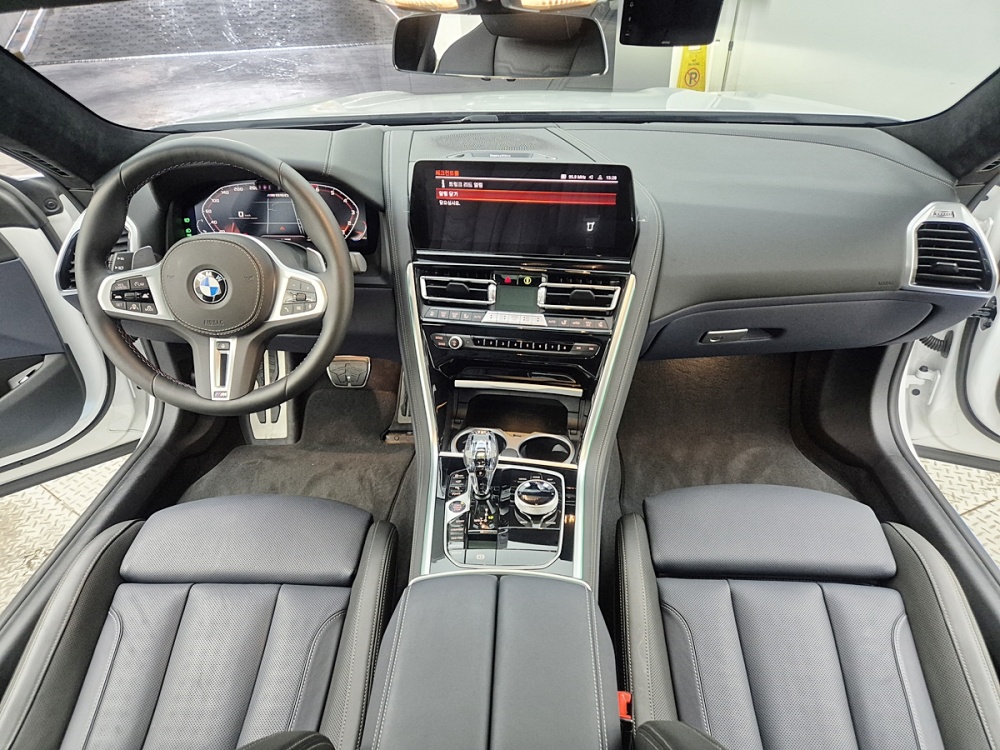 BMW 8 Series (G15)
