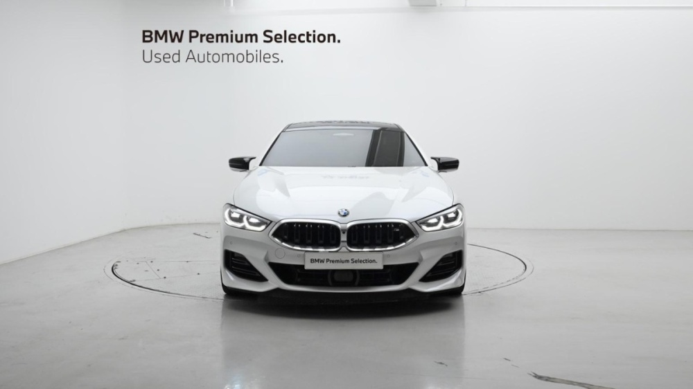 BMW 8 Series (G15)