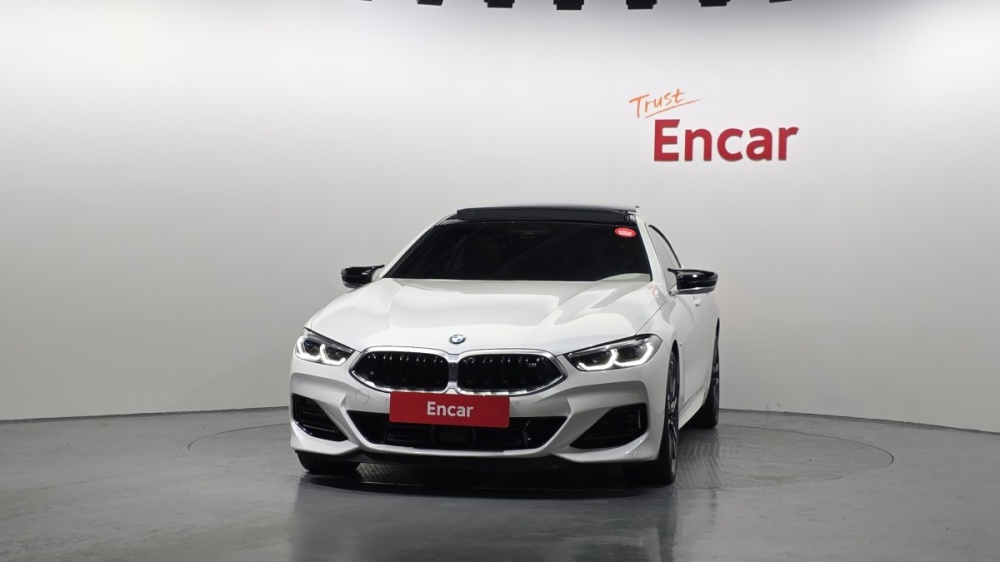 BMW 8 Series (G15)