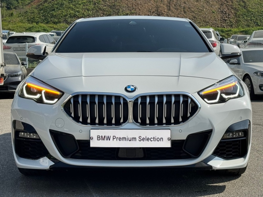 BMW 2 Series Gran Coupe (F44)