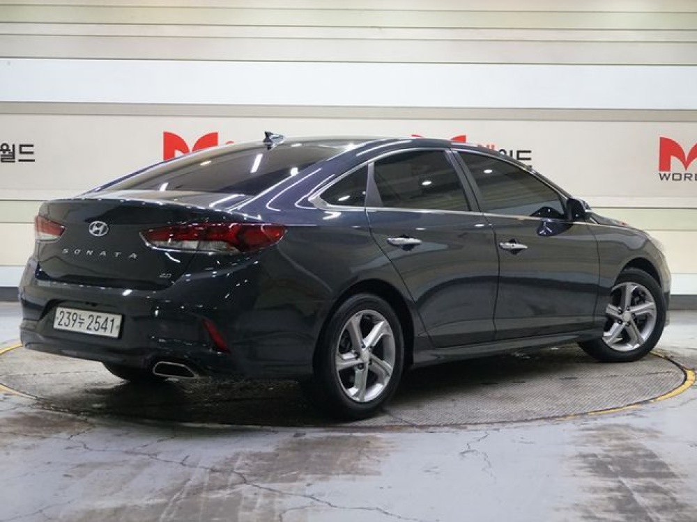 Hyundai sonata new rise