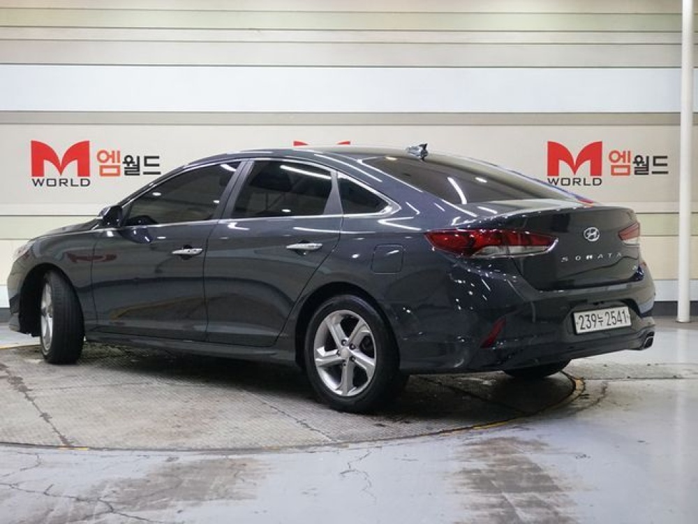 Hyundai sonata new rise