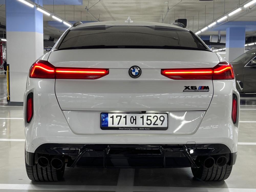 BMW X6M (G06)