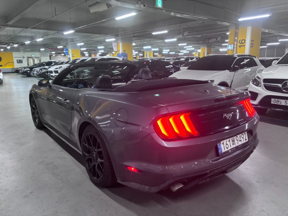 Ford mustang