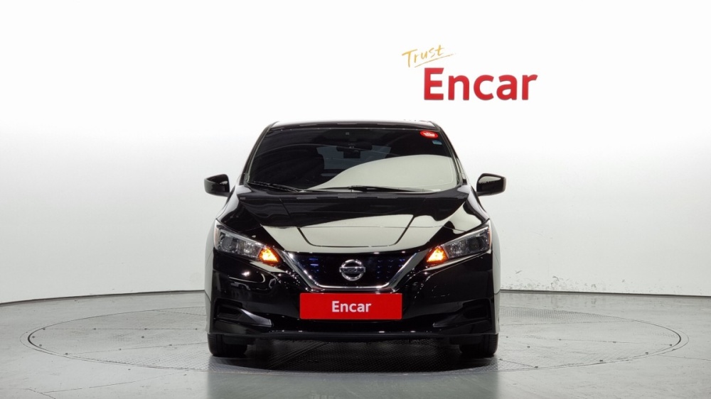 Nissan Leaf (ZE1)