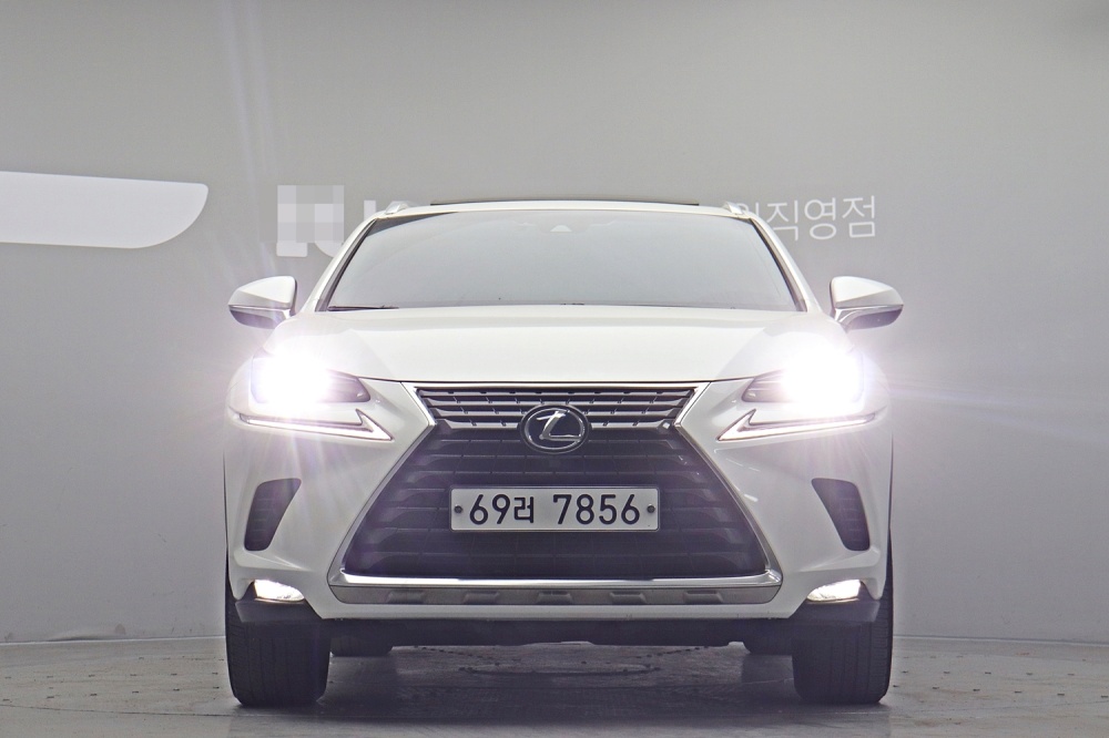 Lexus NX300h