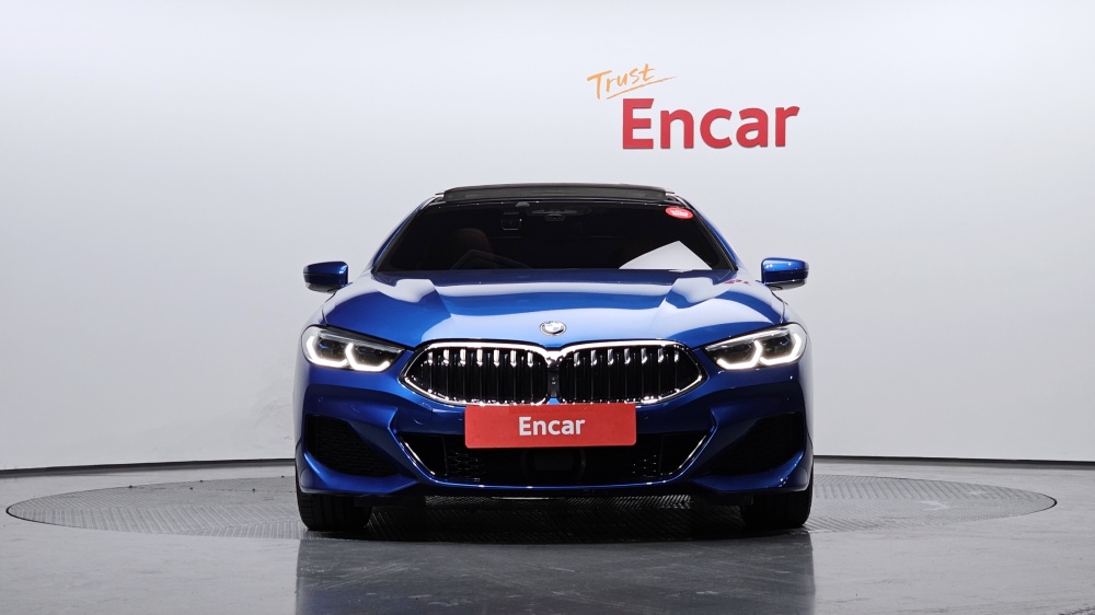 BMW 8 Series (G15)