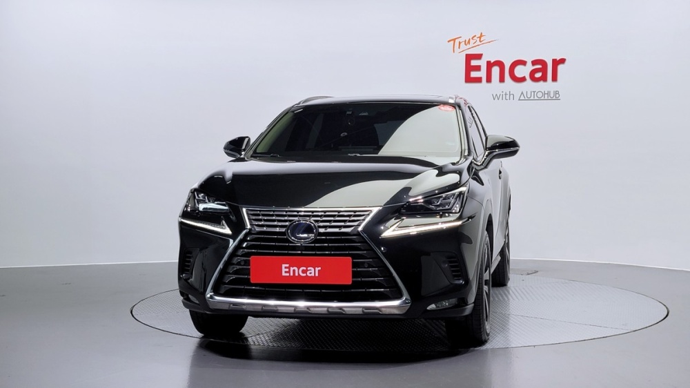 Lexus NX300h