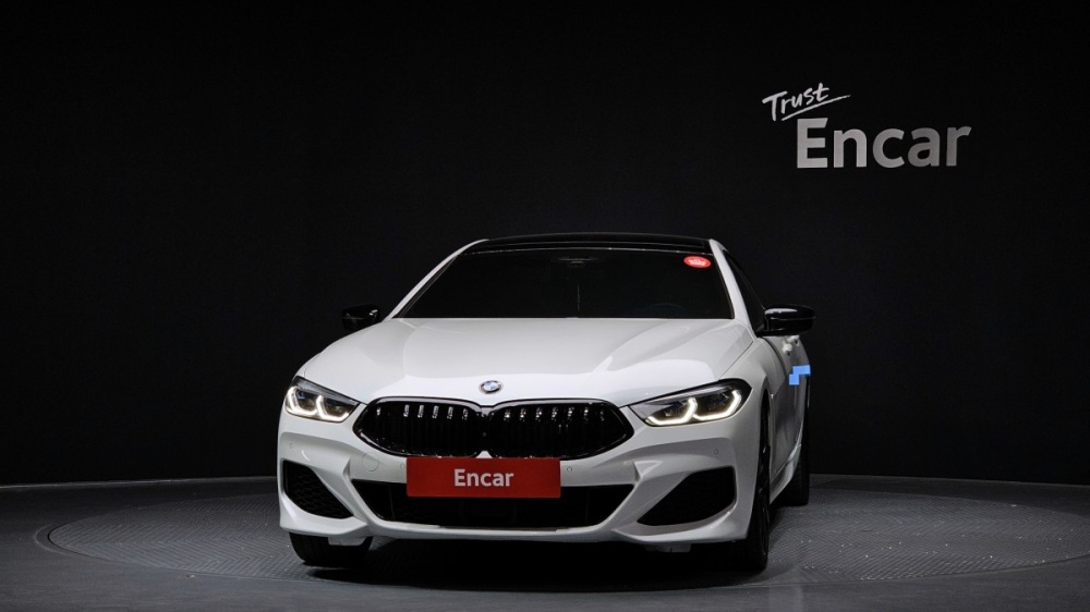 BMW 8 Series (G15)
