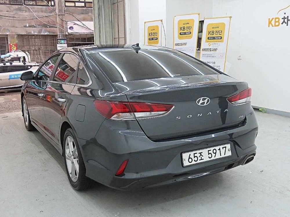 Hyundai sonata new rise