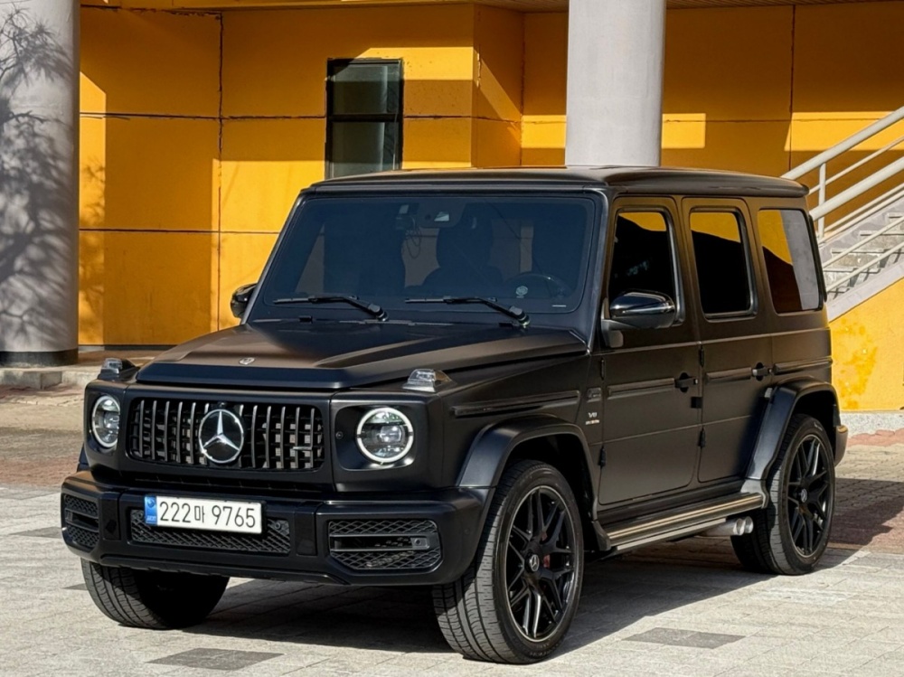 Mercedes-Benz G-Class W463b