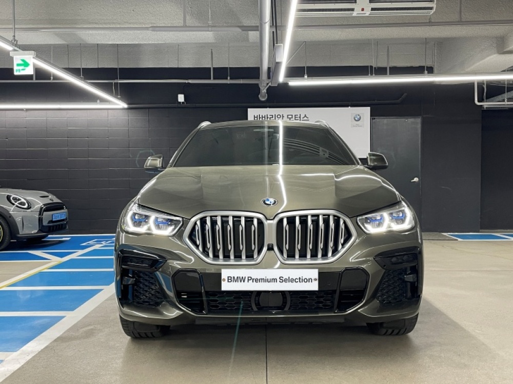 BMW X6 (G06)