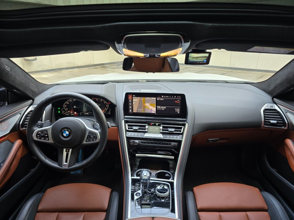 BMW 8 Series (G15)