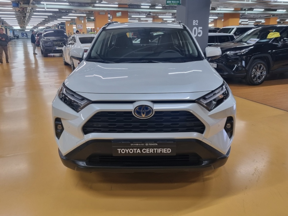 Toyota RAV4 5th Gen